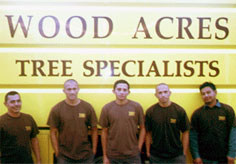 tree & shrub crew for tree removal MD, DC