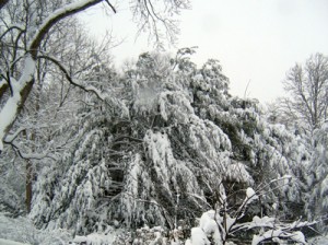 winter-weight