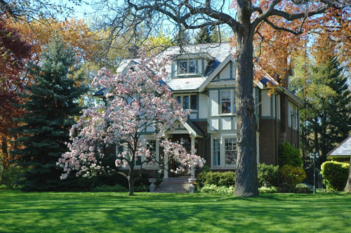 magnolia-house-trees-dreamstime_757963