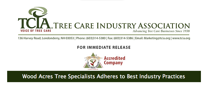 TCIA Accreditation for Wood Acres Tree Specialists