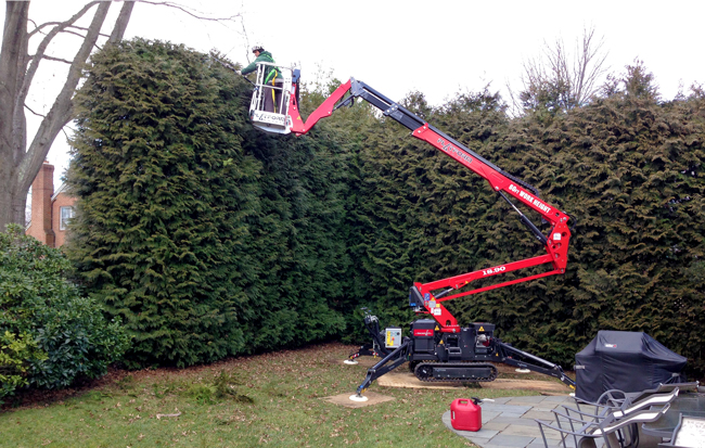Wood Acres trimming large shrubs with lift. Tree trimming safety gear.