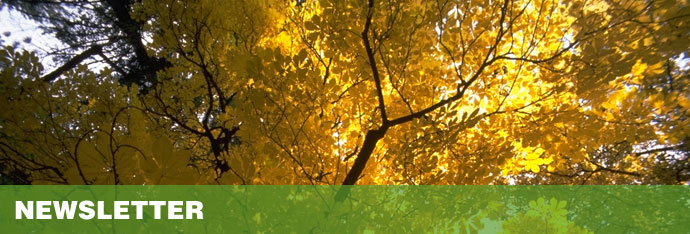tree and shrub news archive