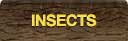 Tree and Shrub Insects and Pests