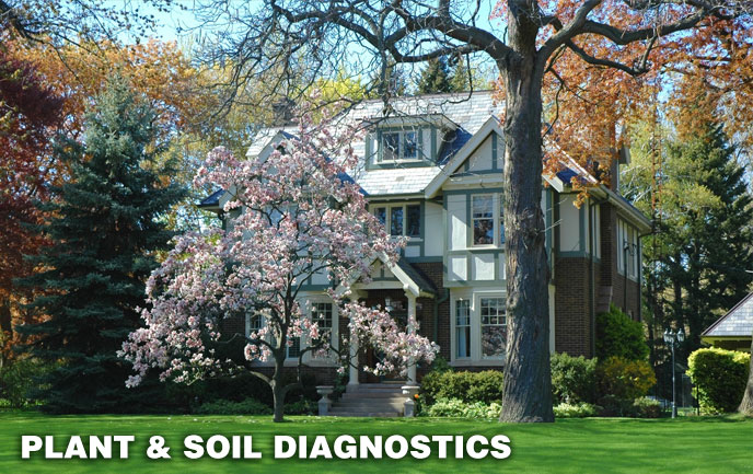 Tree, Shrub and Soil Diagnostics for Maryland DC