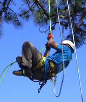 safety program for tree climbers