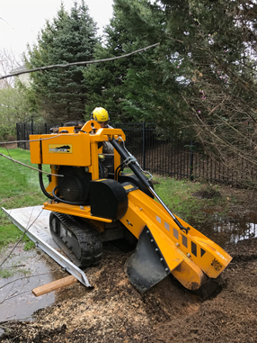 stump removal Maryland and NW Washington DC