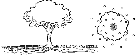 vertical mulching illustration