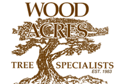 Wood Acres Tree Specialists MD, DC