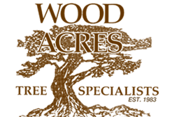 Tree Pruning Company Maryland DC - Tree Trimming Ashton, Tree Trimming Beallsville, Tree Trimming Boyds, Tree Trimming Brookille, Tree Trimming Burtonsville, tree trimming clarksburg, tree trimming damascus, Tree Treimming Derwood MD